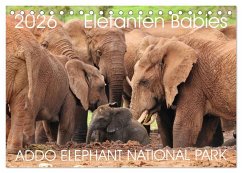 ADDO ELEPHANT NATIONAL PARK Elefanten Babies (Tischkalender 2026 DIN A5 quer), CALVENDO Monatskalender
