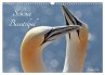 Schöne Basstölpel (Wandkalender 2026... - Bild 1