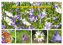 Cover Blütenmeer am Wegesrand (Wandkalender 2026 DIN A4 quer), CALVENDO Monatskalender