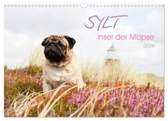 Sylt - Insel der Möpse (Wandkalender 2026 DIN A3 quer), CALVENDO Monatskalender