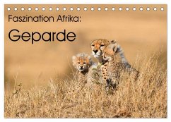 Faszinaton Afrika: Geparde (Tischkalender 2026 DIN A5 quer), CALVENDO Monatskalender Faszinaton Afrika: Geparde (Tischkalender 2026 DIN A5 quer), CALVENDO Monatskalender