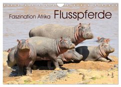 Faszination Afrika: Flusspferde (Wandkalender 2026 DIN A4 quer), CALVENDO Monatskalender Faszination Afrika: Flusspferde (Wandkalender 2026 DIN A4 quer), CALVENDO Monatskalender