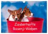 Zauberhafte Basenji-Welpen... - Bild 1
