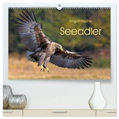 Majestätische Seeadler (hochwertiger Premium Wandkalender 2026 DIN A2 quer), Kunstdruck in Hochglanz Majestätische Seeadler (hochwertiger Premium Wandkalender 2026 DIN A2 quer), Kunstdruck in Hochglanz