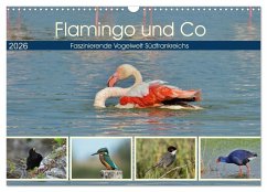Cover Flamingo und Co - Faszinierende Vogelwelt Südfrankreichs (Wandkalender 2026 DIN A3 quer), CALVENDO Monatskalender