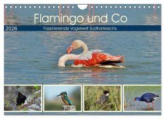 Flamingo und Co - Faszinierende Vogelwelt Südfrankreichs (Wandkalender 2026 DIN A4 quer), CALVENDO Monatskalender