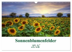 Cover Sonnenblumenfelder (Wandkalender 2026 DIN A3 quer), CALVENDO Monatskalender