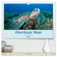 Abenteuer Unterwasser (hochwertiger Premium Wandkalender 2026 DIN A2 quer), Kunstdruck in Hochglanz
