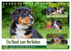 Cover Ein Hund zum Verlieben - Großer Schweizer Sennenhund (Tischkalender 2026 DIN A5 quer), CALVENDO Monatskalender