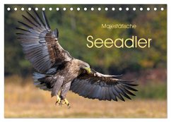 Majestätische Seeadler (Tischkalender 2026 DIN A5 quer), CALVENDO Monatskalender Majestätische Seeadler (Tischkalender 2026 DIN A5 quer), CALVENDO Monatskalender