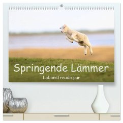 Springende Lämmer: Lebensfreude pur (hochwertiger Premium Wandkalender 2026 DIN A2 quer), Kunstdruck in Hochglanz Springende Lämmer: Lebensfreude pur (hochwertiger Premium Wandkalender 2026 DIN A2 quer), Kunstdruck in Hochglanz