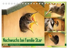 Cover Nachwuchs bei Familie Star (Tischkalender 2026 DIN A5 quer), CALVENDO Monatskalender