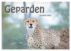 Geparden - schnelle Jäger (Wandkalender 2026 DIN A4 quer), CALVENDO Monatskalender