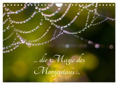 ... die Magie des Morgentaus ... (Wandkalender 2026 DIN A4 quer), CALVENDO Monatskalender