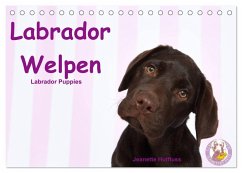 Labrador Welpen - Labrador Puppies (Tischkalender 2026 DIN A5 quer), CALVENDO Monatskalender Labrador Welpen - Labrador Puppies (Tischkalender 2026 DIN A5 quer), CALVENDO Monatskalender