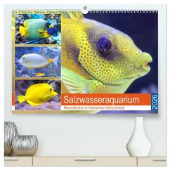 Salzwasseraquarium. Meeresfische im heimischen Wohnzimmer (hochwertiger Premium Wandkalender 2026 DIN A2 quer), Kunstdruck in Hochglanz