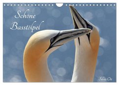 Schöne Basstölpel (Wandkalender 2026 DIN A4 quer), CALVENDO Monatskalender Cover Schöne Basstölpel (Wandkalender 2026 DIN A4 quer), CALVENDO Monatskalender