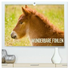 Wunderbare Fohlen (hochwertiger Premium Wandkalender 2026 DIN A2 quer), Kunstdruck in Hochglanz