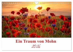 Cover Ein Traum von Mohn (Wandkalender 2026 DIN A4 quer), CALVENDO Monatskalender