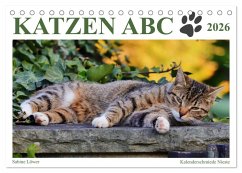 Katzen ABC (Tischkalender 2026 DIN A5 quer), CALVENDO Monatskalender Katzen ABC (Tischkalender 2026 DIN A5 quer), CALVENDO Monatskalender