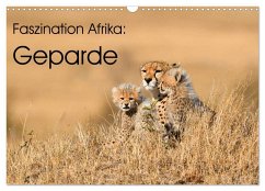 Faszinaton Afrika: Geparde (Wandkalender 2026 DIN A3 quer), CALVENDO Monatskalender Faszinaton Afrika: Geparde (Wandkalender 2026 DIN A3 quer), CALVENDO Monatskalender