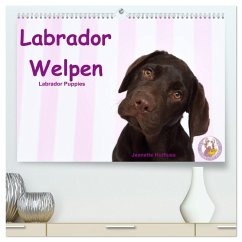 Cover Labrador Welpen - Labrador Puppies (hochwertiger Premium Wandkalender 2026 DIN A2 quer), Kunstdruck in Hochglanz