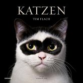 Katzen Katzen