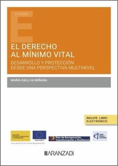 El derecho al mínimo vital: desarrollo y protección desde una perspectiva multinivel