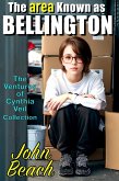 The Area Known as Bellington (The Ventures of Cynthia Veil) (eBook, ePUB)