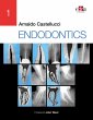 Endodontics (eBook, ePUB) - Bild 1