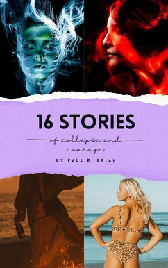 Cover 16 Stories of Collapse and Courage (eBook, ePUB)