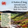 A Nation Of Song - Welsh Song Festival - Bild 1