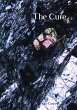 The Cure (eBook, ePUB) - Bild 1
