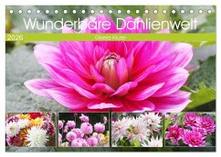 Cover Wunderbare Dahlienwelt (Tischkalender 2026 DIN A5 quer), CALVENDO Monatskalender