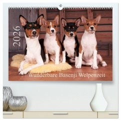 Wunderbare Basenji Welpenzeit (hochwertiger Premium Wandkalender 2026 DIN A2 quer), Kunstdruck in Hochglanz