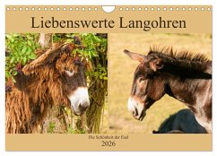 Cover Liebenswerte Langohren - Die Schönheit der Esel (Wandkalender 2026 DIN A4 quer), CALVENDO Monatskalender