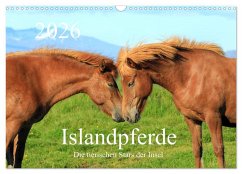 Islandpferde - Die tierischen Stars der Insel (Wandkalender 2026 DIN A3 quer), CALVENDO Monatskalender