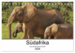 Südafrika - Eine beeindruckende Tierwelt (Tischkalender 2026 DIN A5 quer), CALVENDO Monatskalender