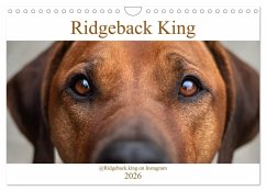 Ridgeback King (Wandkalender 2026 DIN A4 quer), CALVENDO Monatskalender