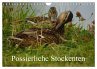Possierliche Stockenten (Wandkalender... - Bild 1