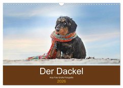 Cover Der Dackel (Wandkalender 2026 DIN A3 quer), CALVENDO Monatskalender