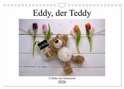 Eddy, der Teddy - 12 Bilder zum Schmunzeln (Wandkalender 2026 DIN A4 quer), CALVENDO Monatskalender Eddy, der Teddy - 12 Bilder zum Schmunzeln (Wandkalender 2026 DIN A4 quer), CALVENDO Monatskalender