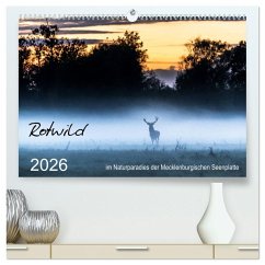 Rotwild - im Naturparadies der Mecklenburgischen Seenplatte (hochwertiger Premium Wandkalender 2026 DIN A2 quer), Kunstdruck in Hochglanz