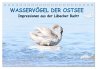 Wasservögel der Ostsee - Impressionen... - Bild 1