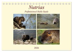 Nutrias Peißnitzinsel Halle Saale (Tischkalender 2026 DIN A5 quer), CALVENDO Monatskalender Nutrias Peißnitzinsel Halle Saale (Tischkalender 2026 DIN A5 quer), CALVENDO Monatskalender