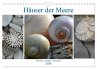 Häuser der Meere: Muscheln - Seeigel -... - Bild 1
