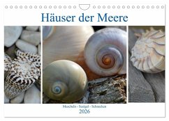 Häuser der Meere: Muscheln - Seeigel - Schnecken (Wandkalender 2026 DIN A4 quer), CALVENDO Monatskalender