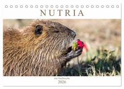 NUTRIA mit Nachwuchs (Tischkalender 2026 DIN A5 quer), CALVENDO Monatskalender