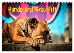 Hunde und Graffiti (Wandkalender 2026 DIN A3 quer), CALVENDO Monatskalender