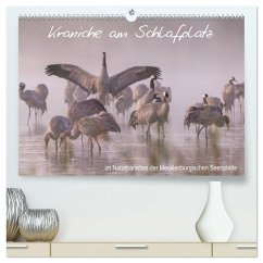 Kraniche am Schlafplatz - im Naturparadies der Mecklenburgischen Seenplatte (hochwertiger Premium Wandkalender 2026 DIN A2 quer), Kunstdruck in Hochglanz